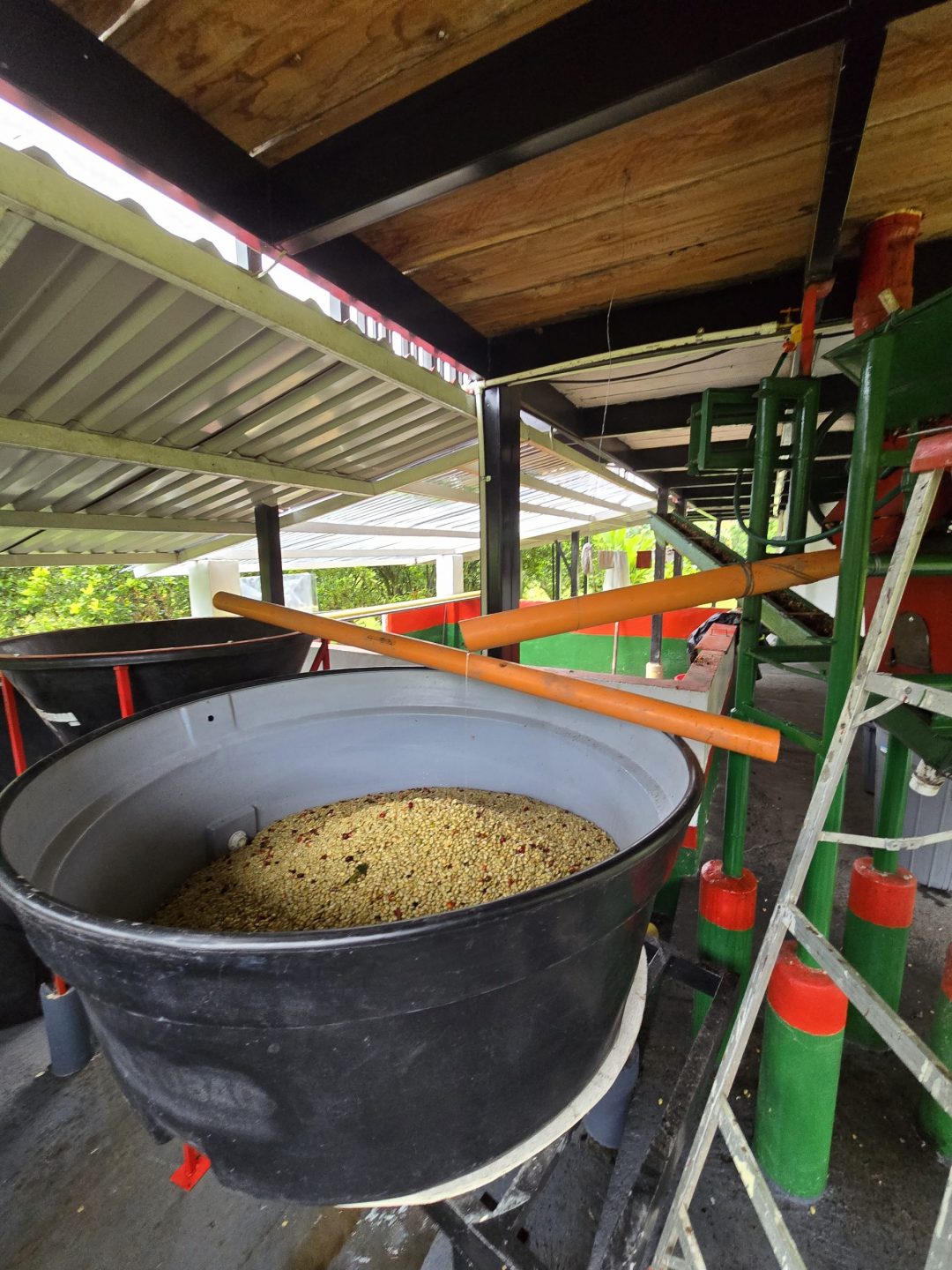 depulping coffee beans